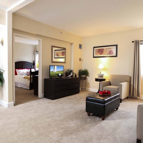A furnished apartment living room