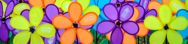 Alzheimer's Association flowers