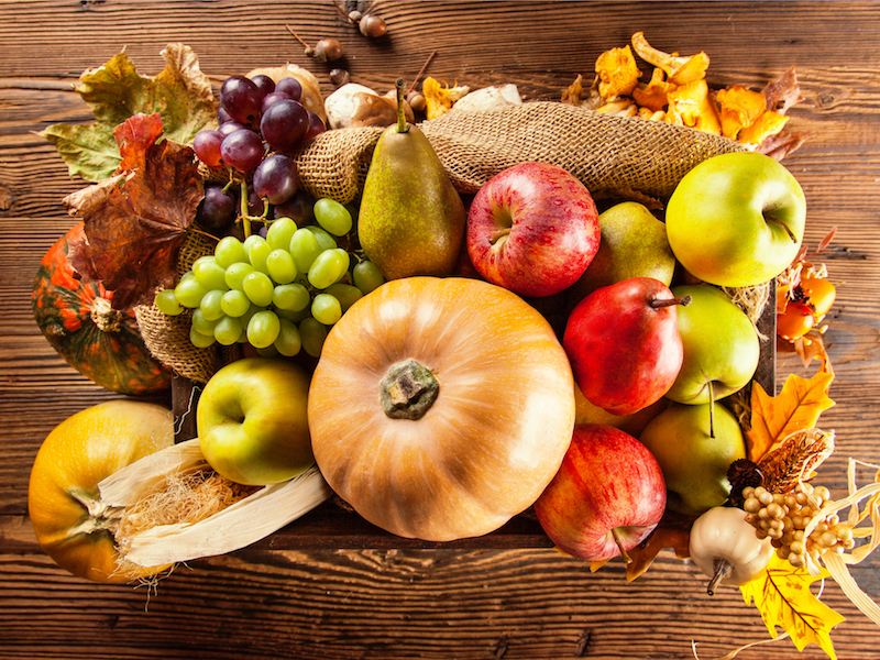 autumn basket